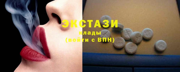 ECSTASY Богородицк