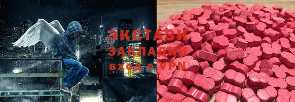 ECSTASY Богородицк